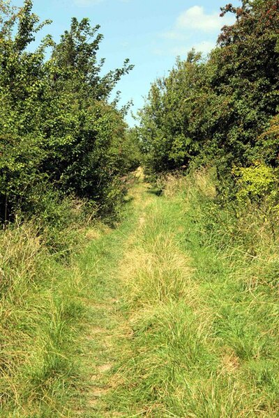 File:Ancient Trackway - geograph.org.uk - 524275.jpg