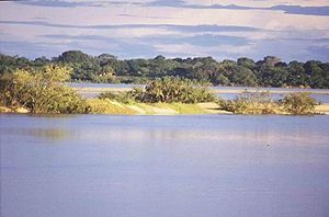 Araguaia River.jpg
