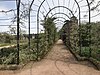 توریست آربور ، Trentham Gardens.jpg