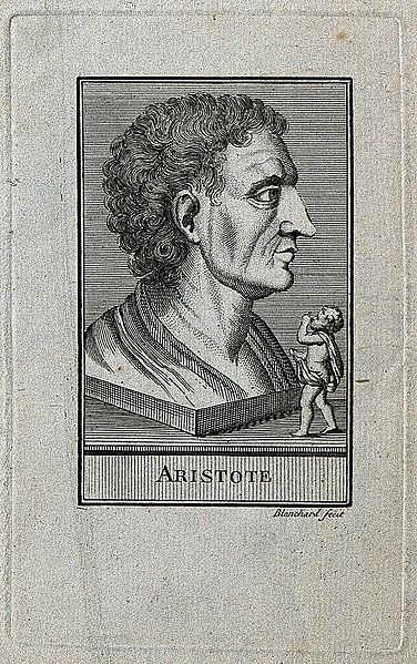 File:Aristotle. Line engraving by Blanchard after P. P. Rubens. Wellcome V0000201EL.jpg