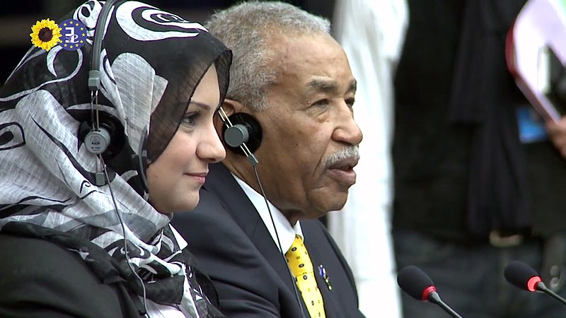 File:Asmaa Mahfouz and Ahmed al-Senussi at the European Parliament.jpg