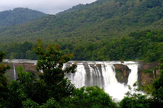 Forests of Kerala near Athirappalli Waterfalls