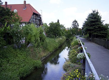 AueRodenberg