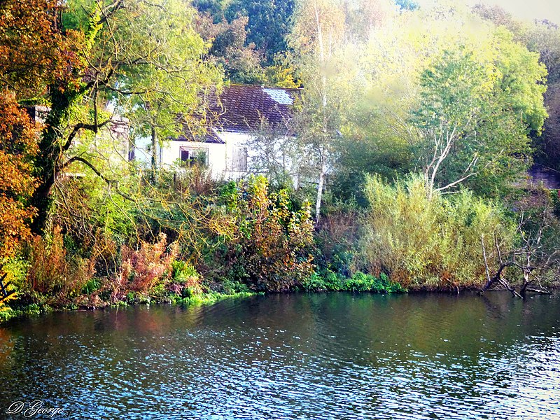 File:Autumn Lake (enhanced).jpg