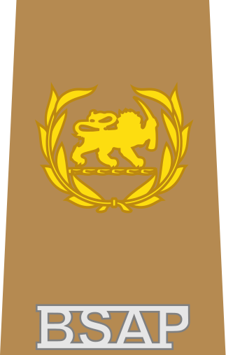 File:BSAP Senior Sergeant insignia.svg