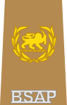 BSAP Senior Sergeant insignia.svg