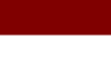 Bandera de Pedro Muñoz.PNG