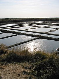 Базени со морска вода во солана