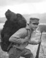 Bear hunting Kodiak FWS.jpg