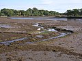 Beaulieu River