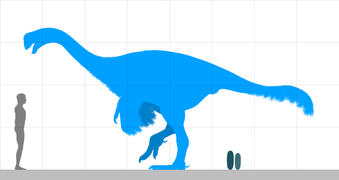 Beibeilong size comparison