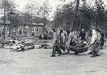 The scene at Bergen-Belsen, April 1945 Bergen-Belsen Katalog S 114 -2.jpg