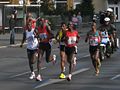 Miniatura para Liebre (atletismo)