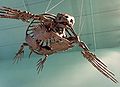 "Archelon ischyros" in Wallace Building