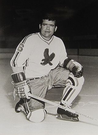 <span class="mw-page-title-main">Bill Speer</span> Canadian ice hockey player