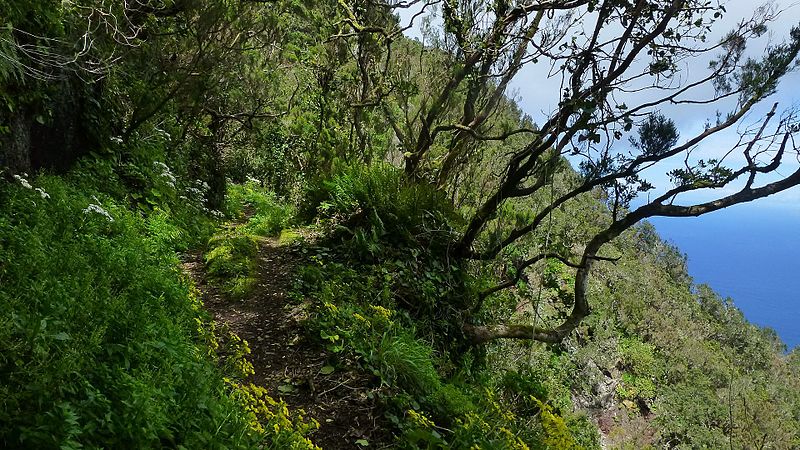 File:Biosphere Reserve Isla de El Hierro 09.jpg