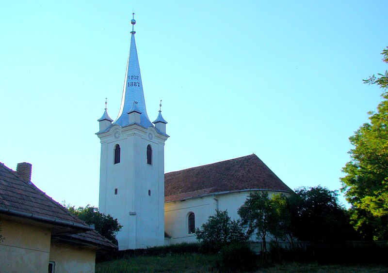 File:Biserica reformată din Nicolești (71) 19.jpg