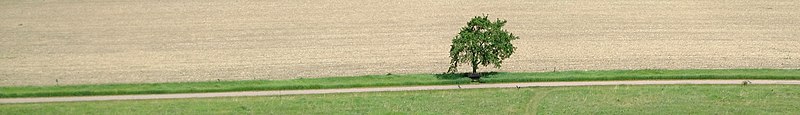 File:Blue Mounds Banner.jpg