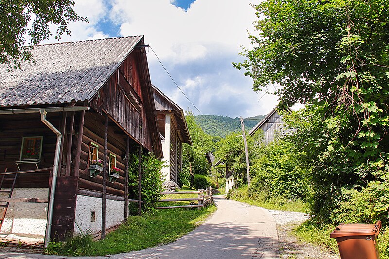 File:Bohinj, vallée Ribnica 43 (53427798387).jpg