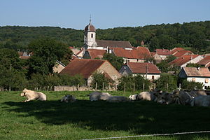 Borey village.JPG