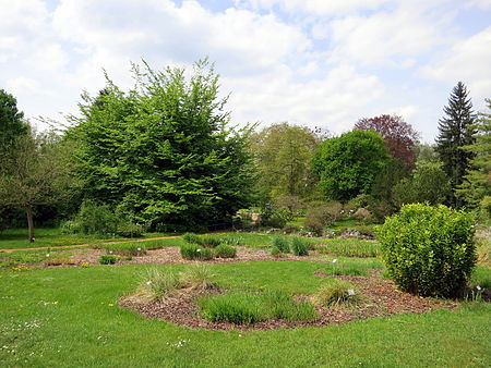 Botanical garden (2)