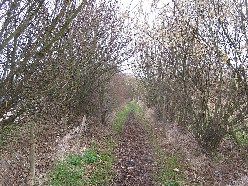 File:Bridleway to A256 - A256 Roundabout junction - geograph.org.uk - 2271994.jpg