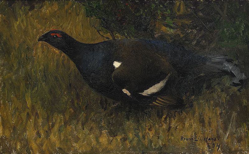 File:Bruno Liljefors - Black Grouse cock 1894 (framed).jpg