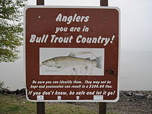 Sign in Sandpoint for anglers regarding protection of bull trout