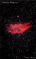 Nebulosa California NGC 1499 Image of A.Ferretti