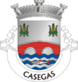 Vlag van Casegas