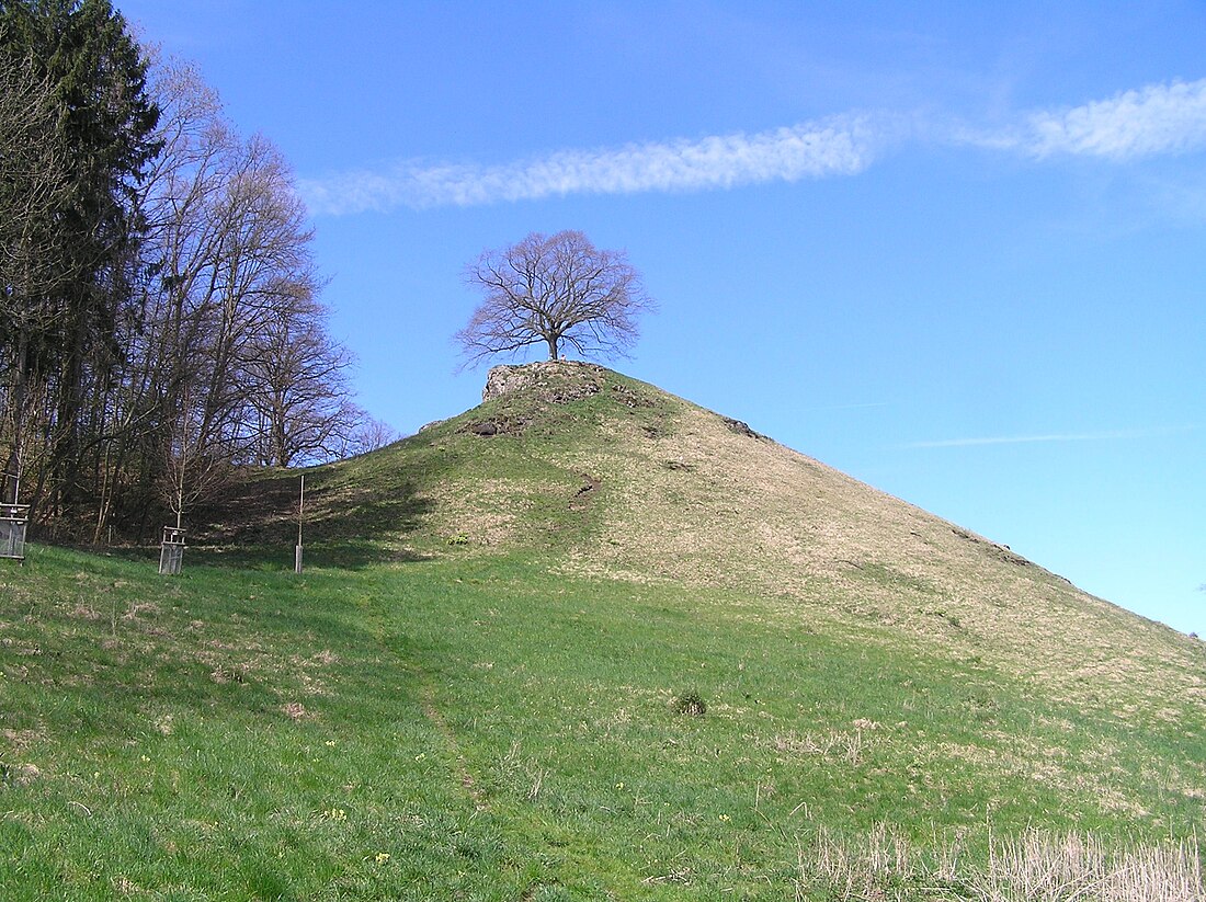 Calverbühl