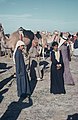 Camel Races Near Manifa 13 by Tom And Linda Anderson 3721119244.jpg