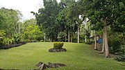 Miniatura para Jardín Botánico de Cartagena