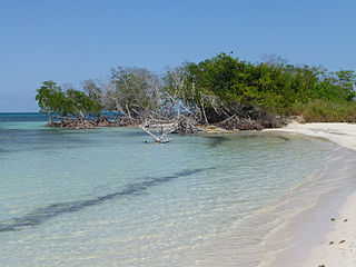 <span class="mw-page-title-main">Minas de Matahambre</span> Municipality in Pinar del Río, Cuba