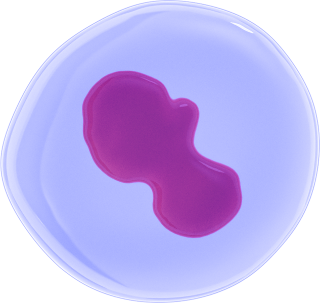 File:Cells 062.png