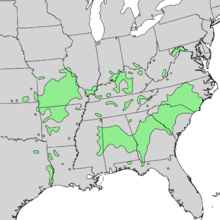 Mapa de distribución de Celtis tenuifolia 3.png