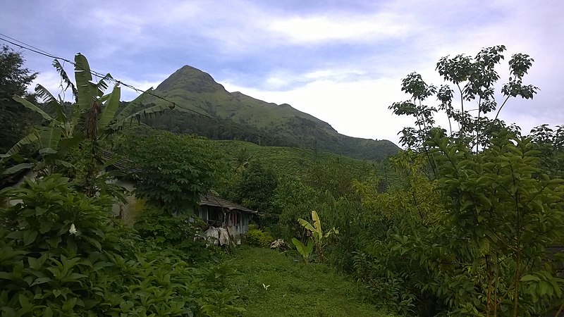 File:Chembra Peak, Wayanad - panoramio (9).jpg