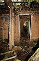 * Nomination Ruins of abandoned apartment building in Chernobyl (3). Ruins really distorted, this is not image distortion -- George Chernilevsky 20:18, 22 August 2019 (UTC) * Promotion  Support Good quality.--Agnes Monkelbaan 04:39, 23 August 2019 (UTC)