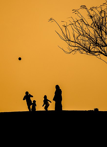 File:Children play the ball in the public parks in Egypt during the sunset.jpg