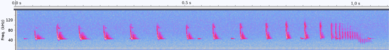 Screenshot mit Ticks an beiden Achsen, ein Tick an der Y-Achse entspricht 20 kHz; ein langer Tick an der X-Achse 50 ms.