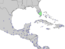 Chrysobalanus icaco range map 2.png