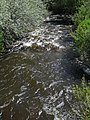 Clear Creek (Buffalo, Wyoming, USA) (1 June 2017) 4 (34201797414).jpg