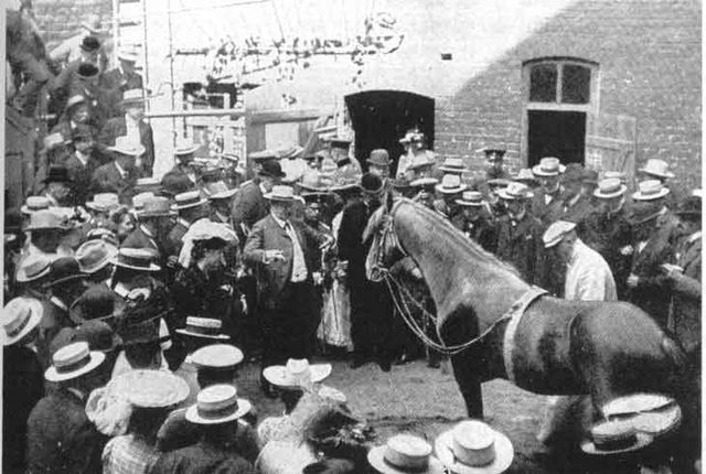 Hans le malin en représentation