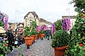 File:Clique with nature theme at Cortège 2024 Basler Fasnacht 01.jpg