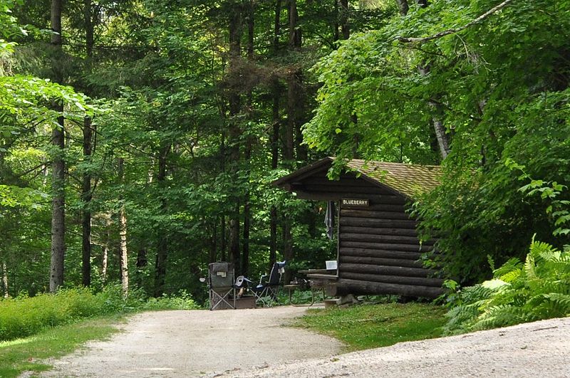 File:CoolidgeStatePark BlueberryLeanto.jpg