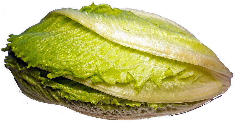 File:Cosmopolitan salad.jpg