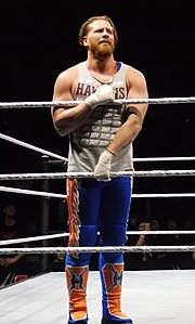 Curt Hawkins 2018 (crop) .jpg