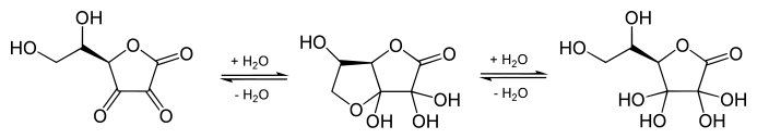 Hydration equilibria of DHA - center hemiketal structure is the predominant species in aqueous solutions. Dehydroascorbic acid.svg