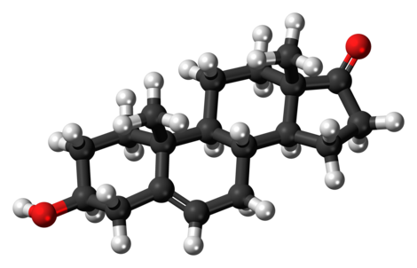 Dehydroepiandrosterone molecule ball.png