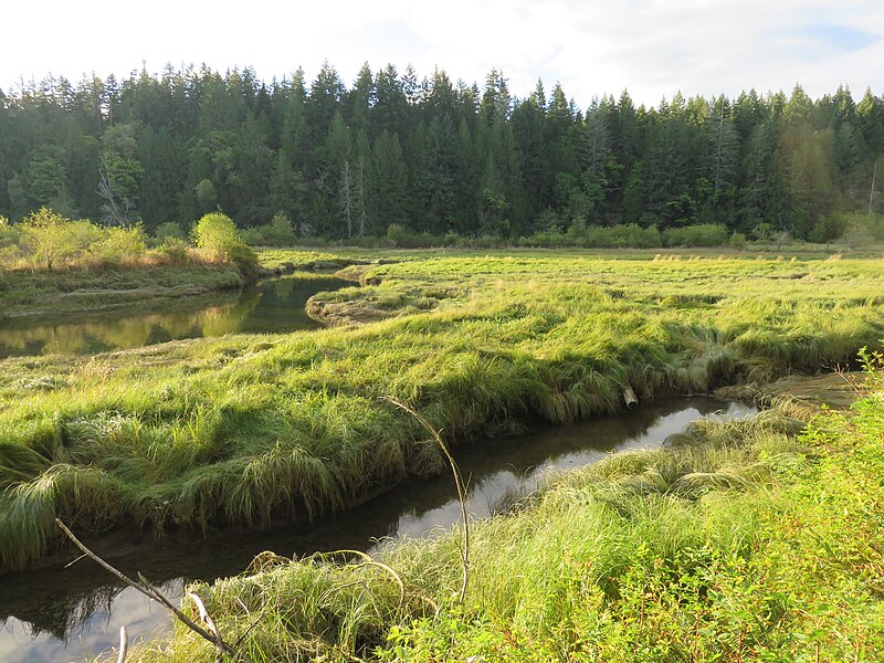 File:Dewatto-River-estuary-Dewatto-Road-17-Aug-2017.jpg